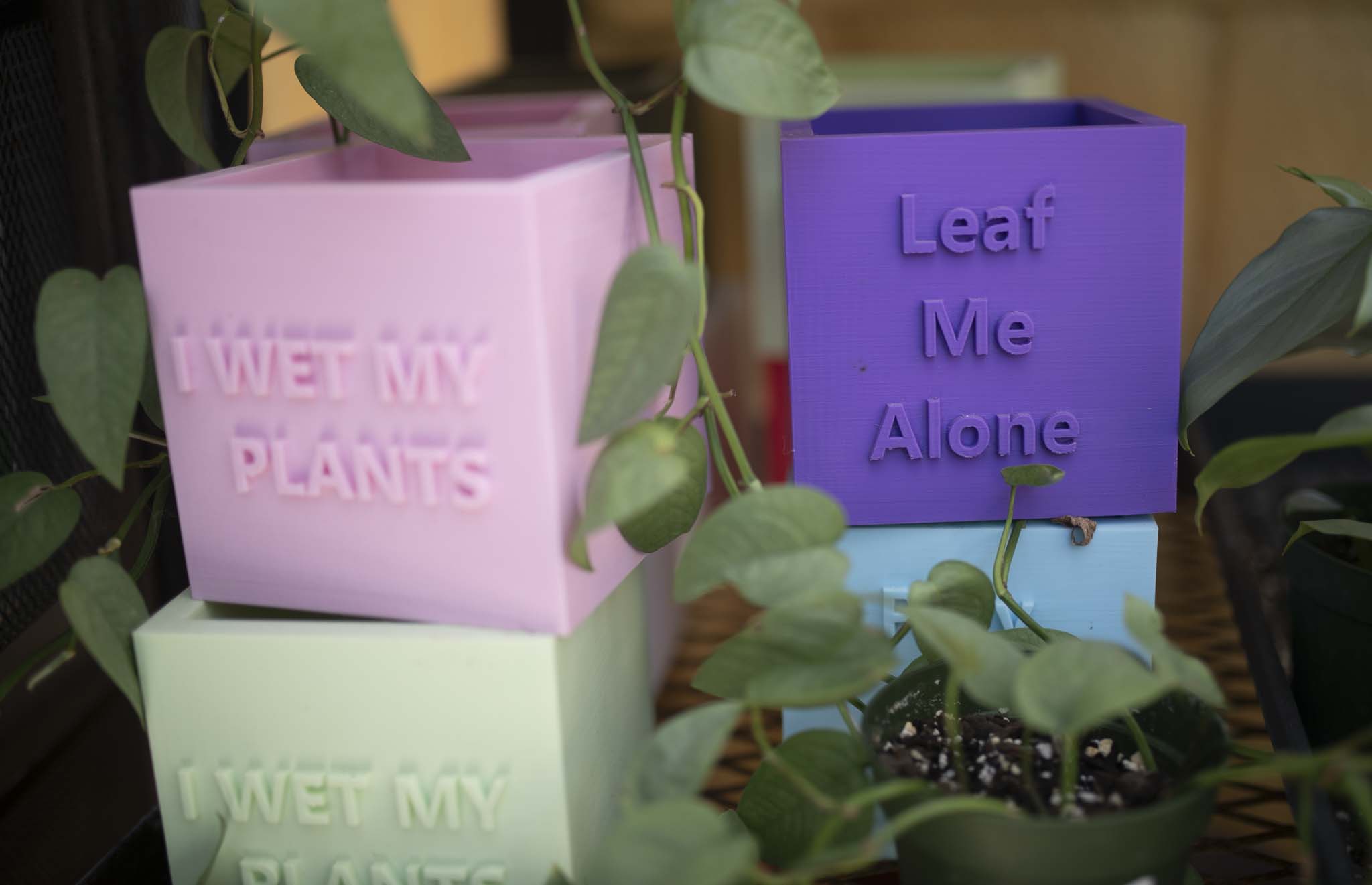 Funny pots