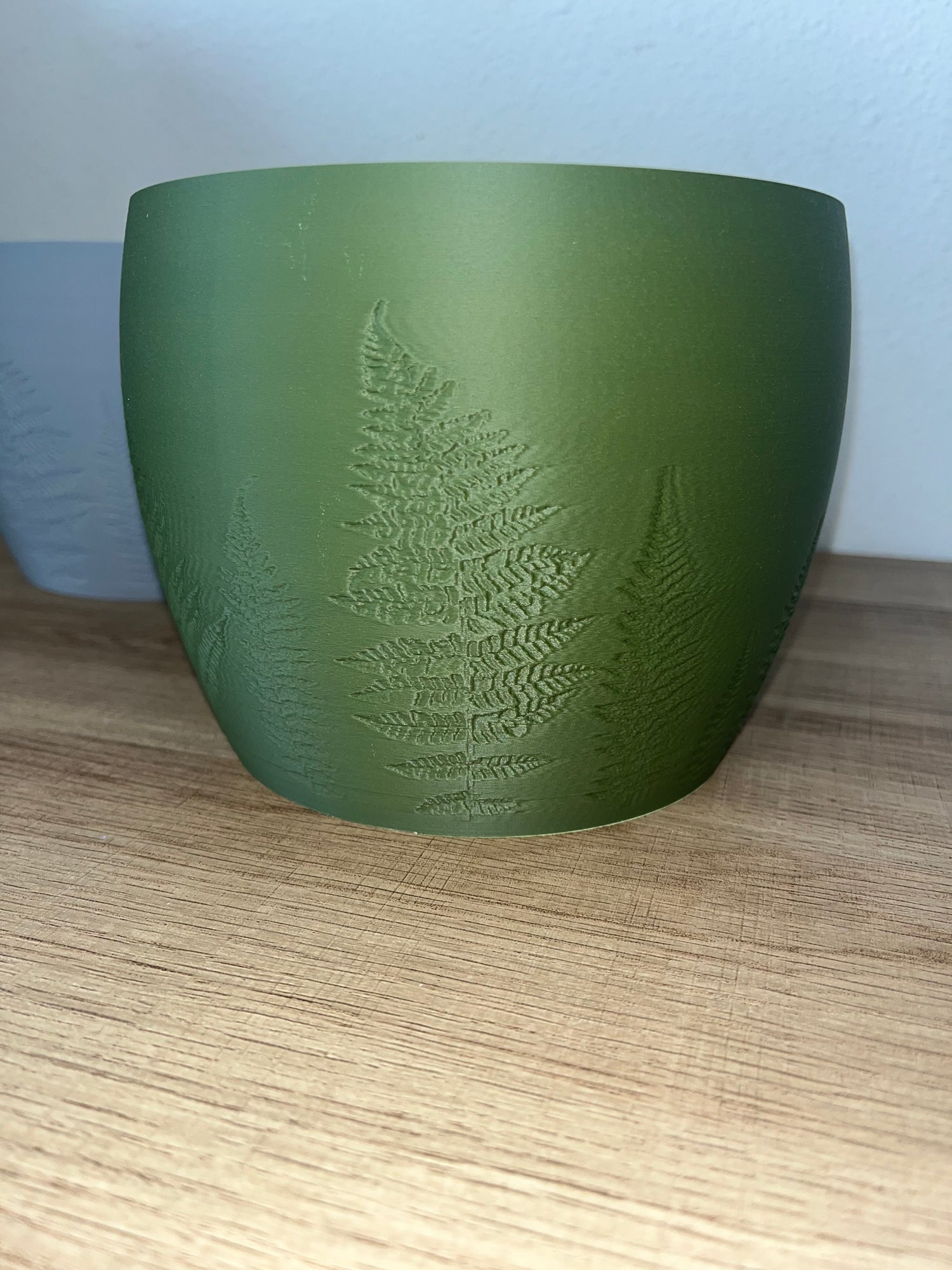 FERN PLANTER