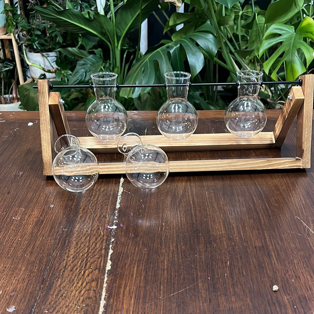 WOOD FRAMED PROPAGATION STATION WITH 5 GLASS BULBS