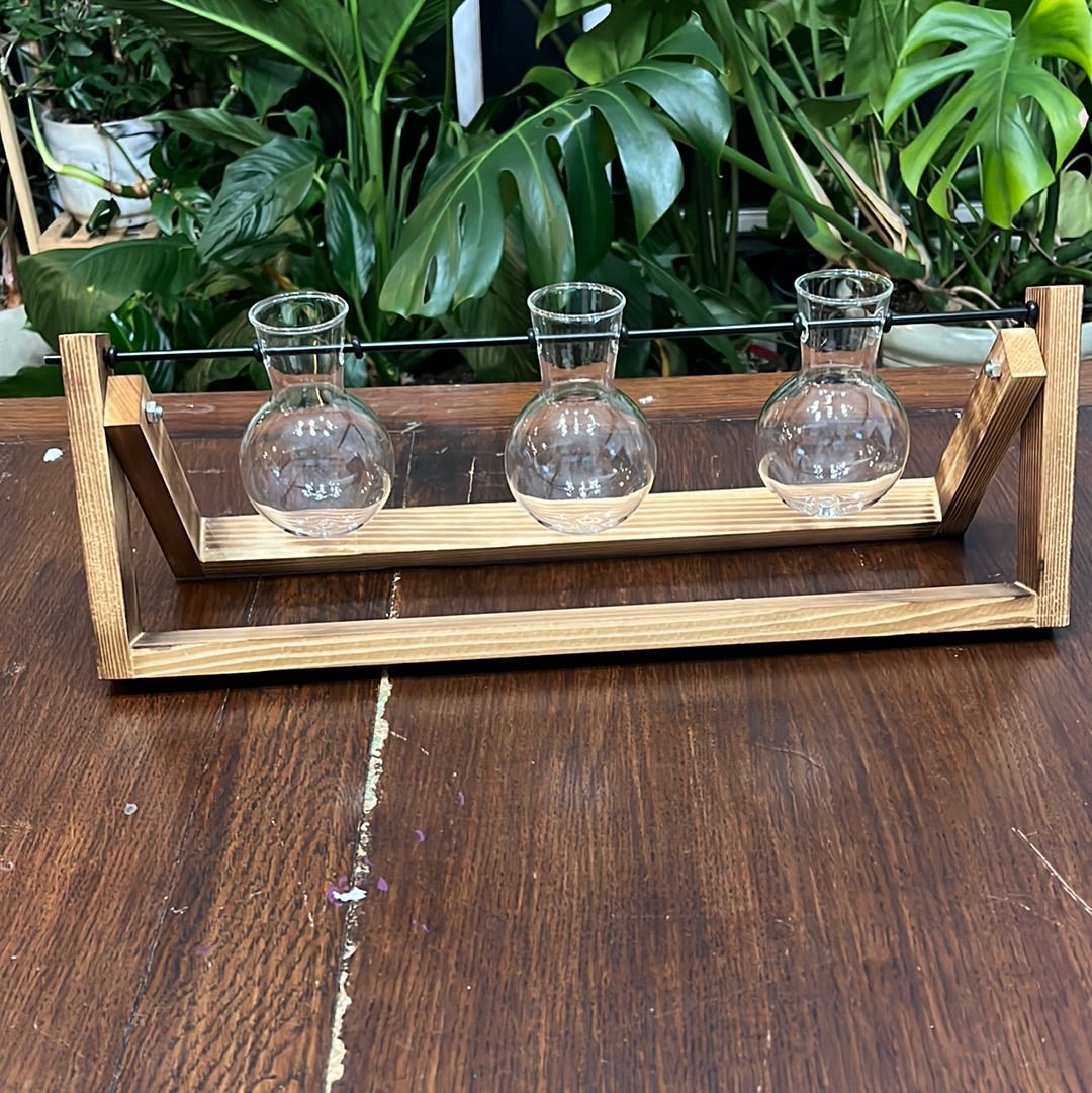 WOOD FRAMED PROPAGATION STATION WITH 5 GLASS BULBS