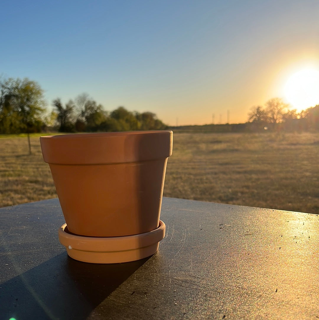 TERRA COTTA POT 5.5"