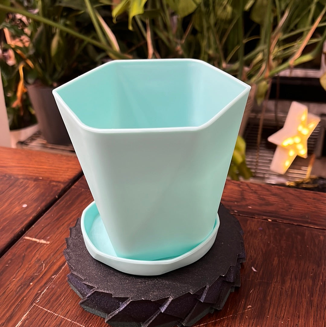 SMALL HEXAGON POTS WITH DRIP TRAY 4.5"