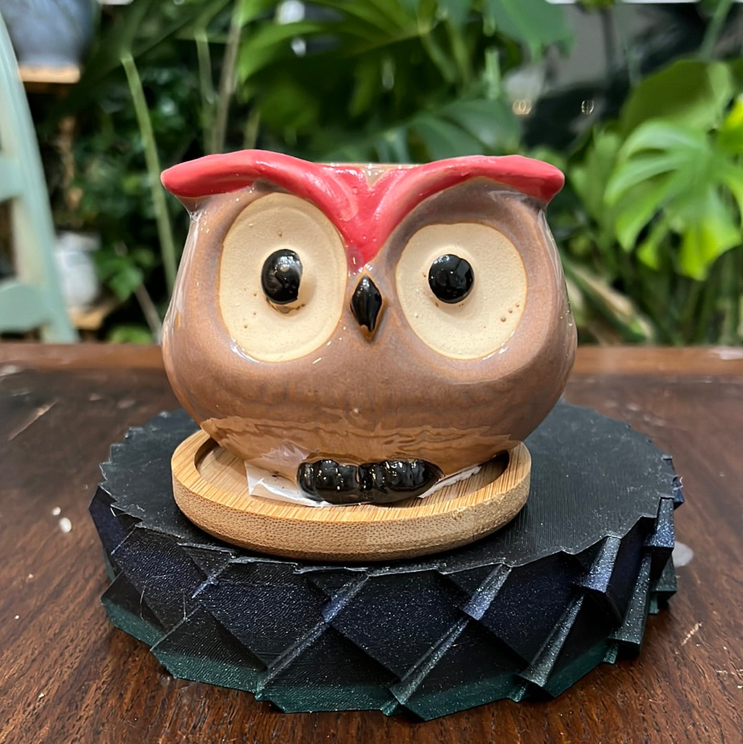 OWL SUC POTS