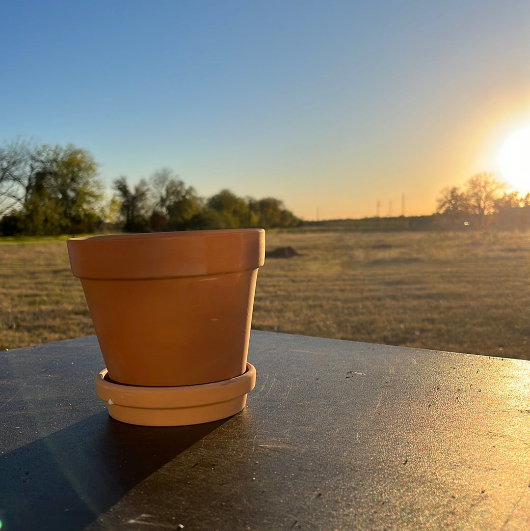 TERRA COTTA POT 5.5"