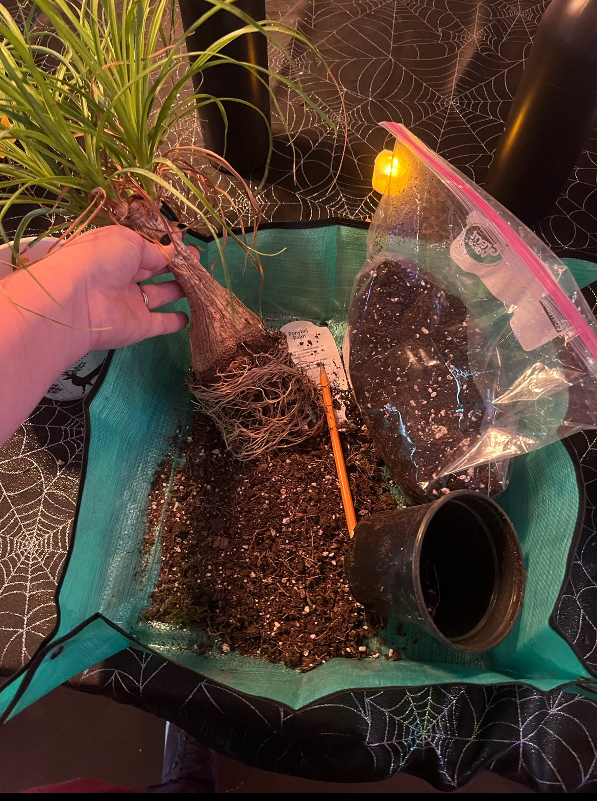 SNAP-AND-GO PLANTING MAT