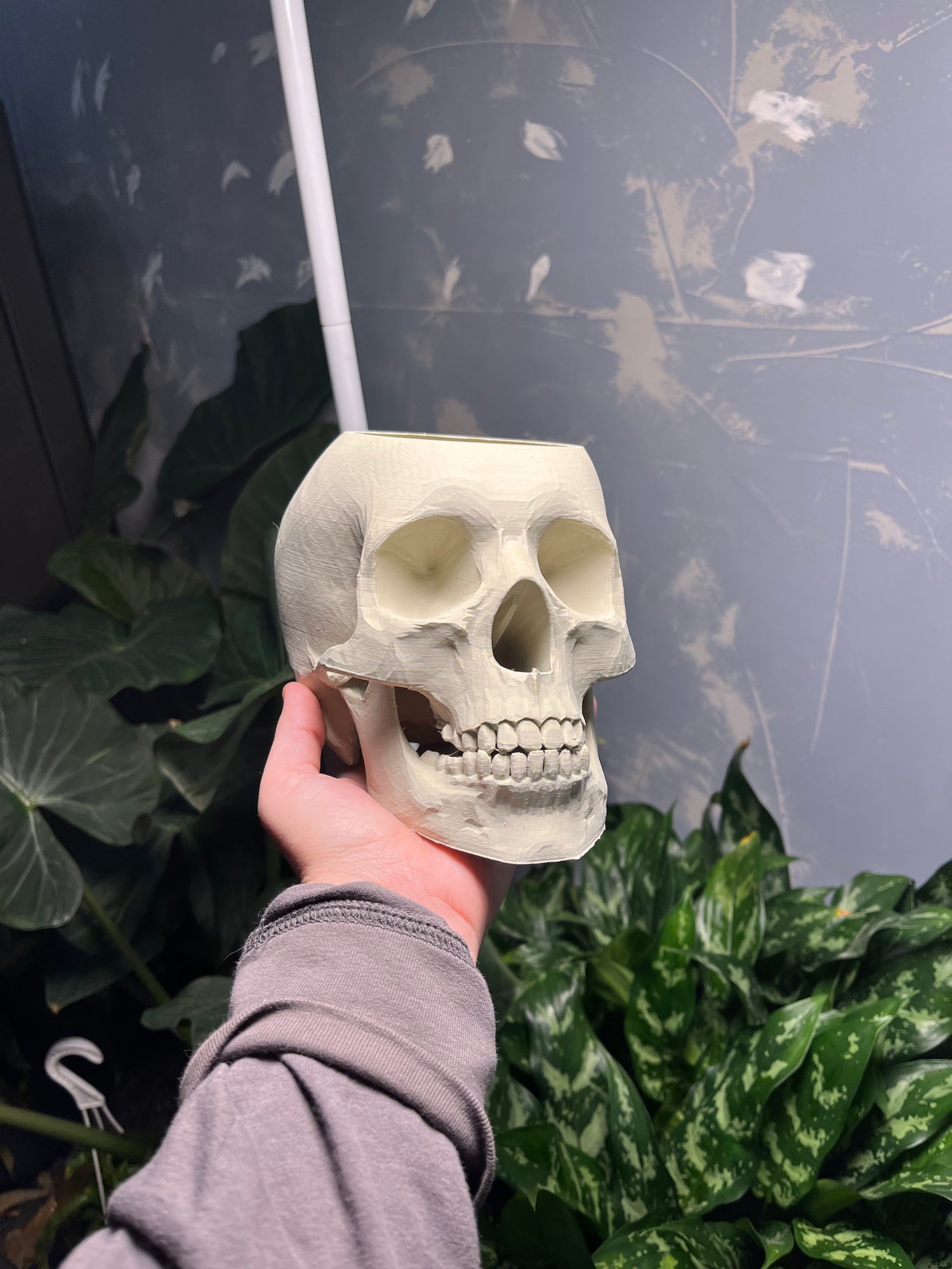 Skull planter