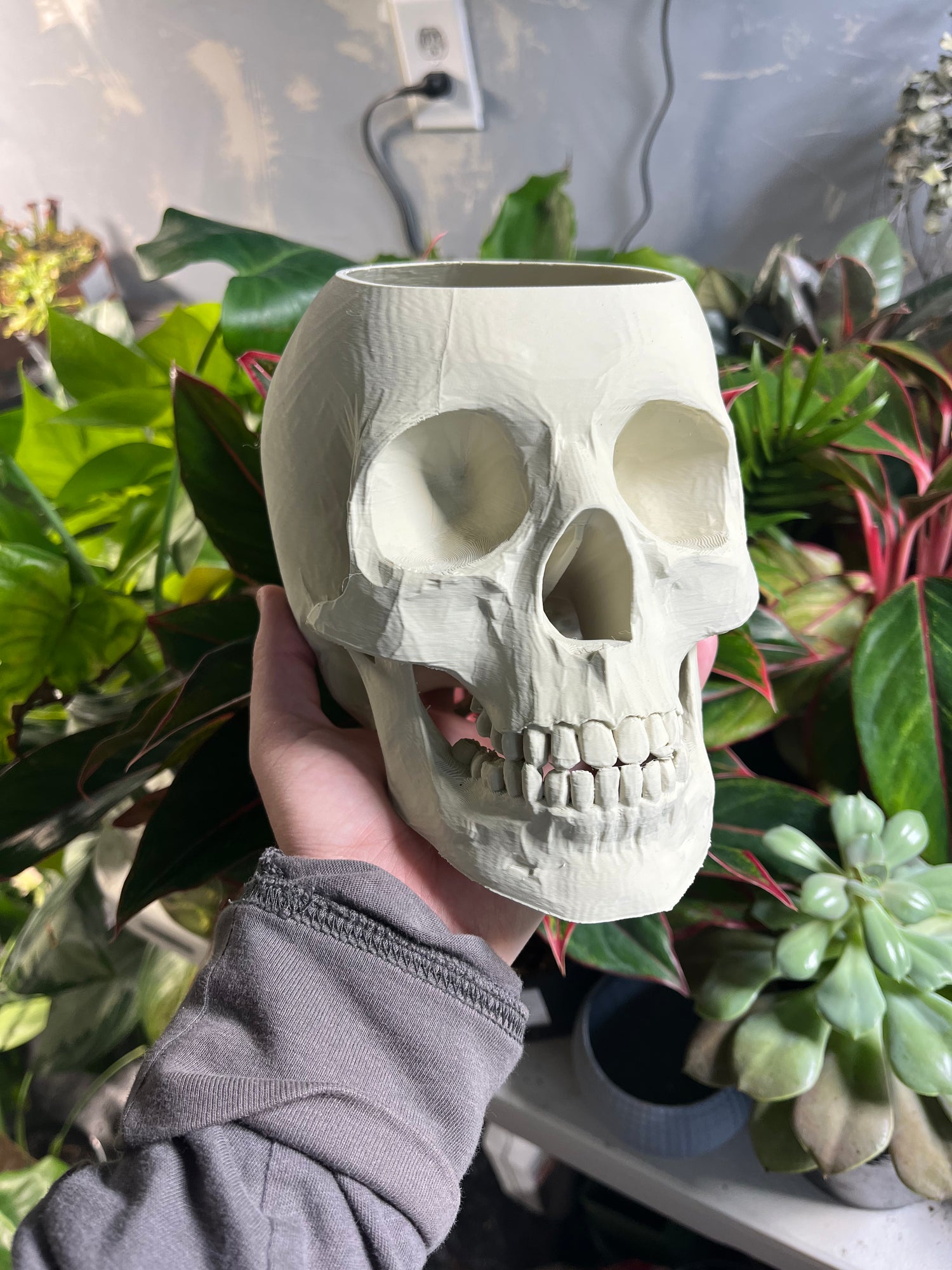 Skull planter