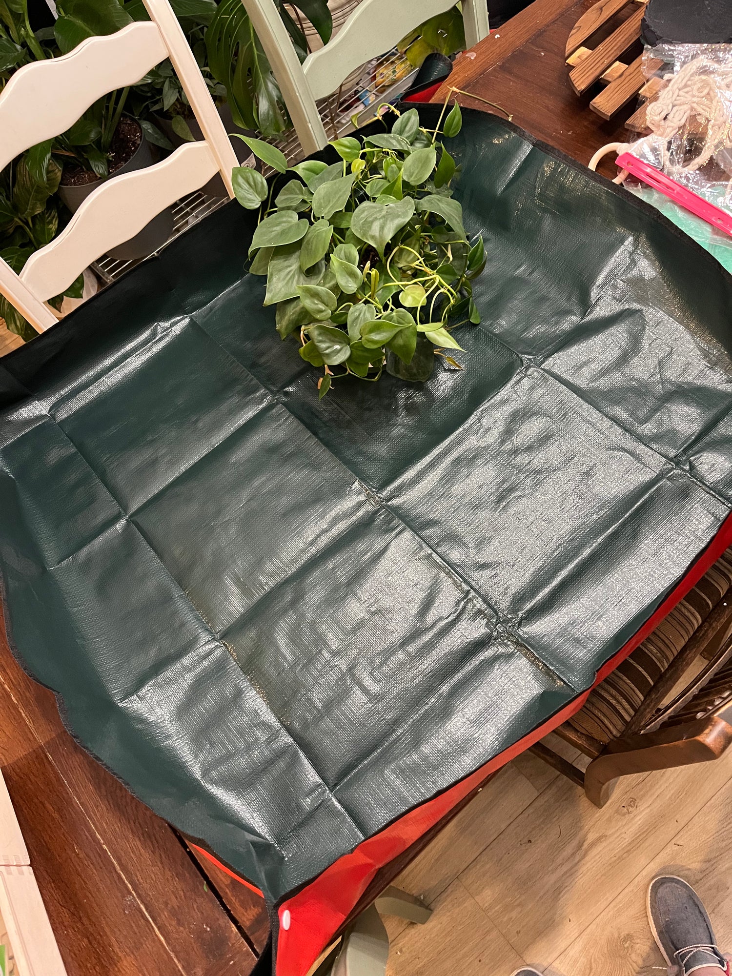 SNAP-AND-GO PLANTING MAT