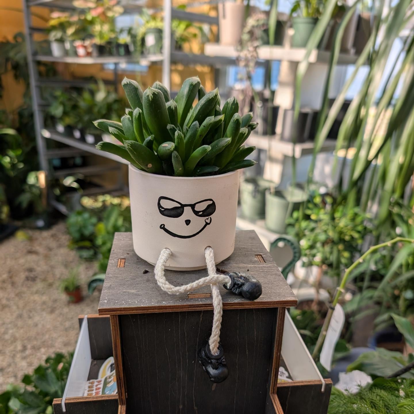 Character face with plant