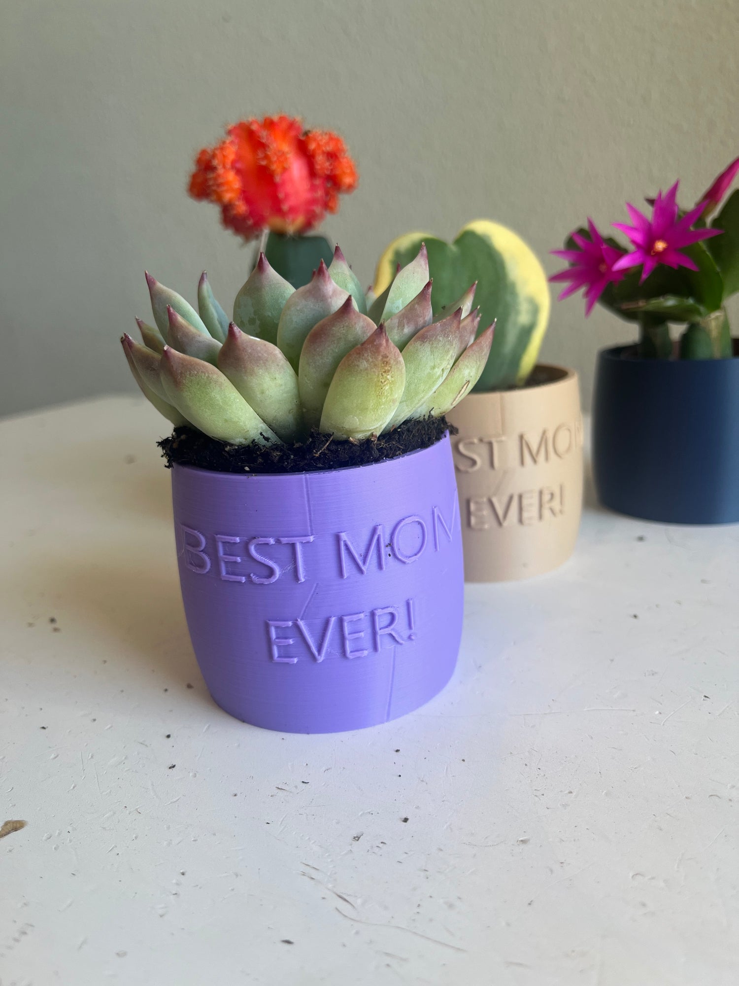 BEST MOM EVER POT