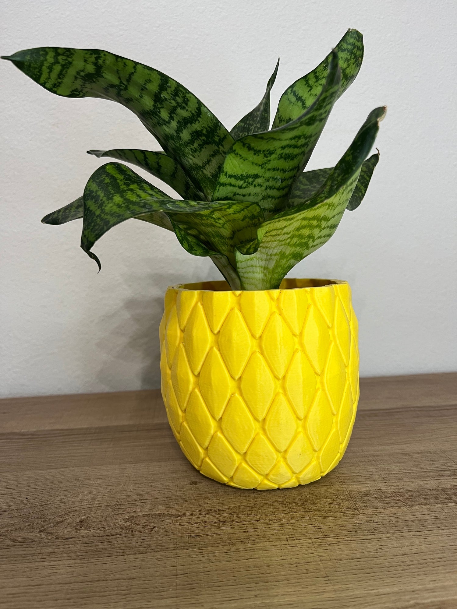 PINEAPPLE POT AND PLANT COMBO